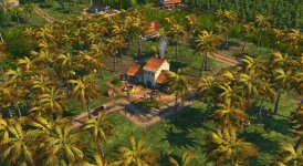 Coconut_Orchard_1.jpg